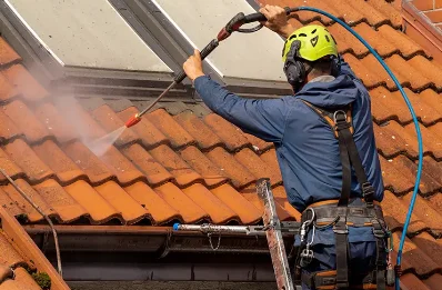 Démoussage et hydrofuge de toiture à Puyloubier